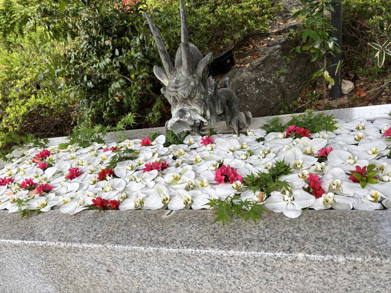 natunokoさんのよみうりランド眺望温泉 花景の湯のサ活写真