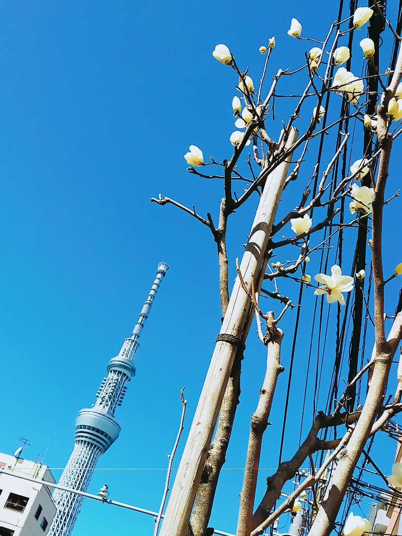 Mieさんの黄金湯のサ活写真