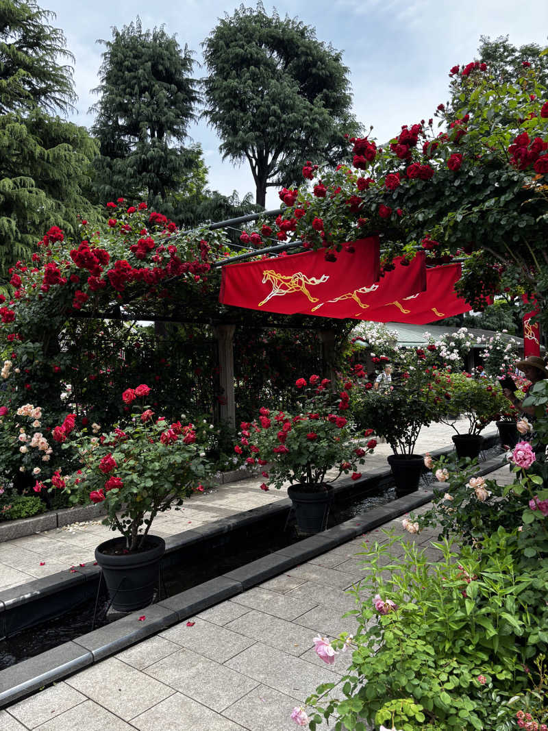 こんちゃさんの富士山天然水SPA サウナ鷹の湯のサ活写真