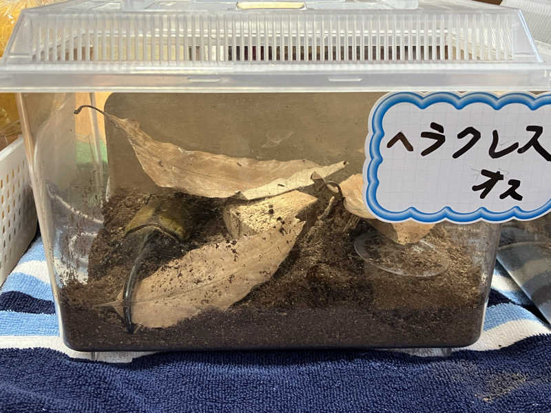 Oちゃんさんの和合の湯のサ活写真