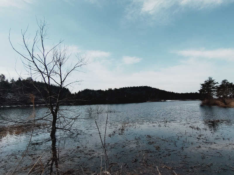 Mさんの千畑温泉サン・アールのサ活写真