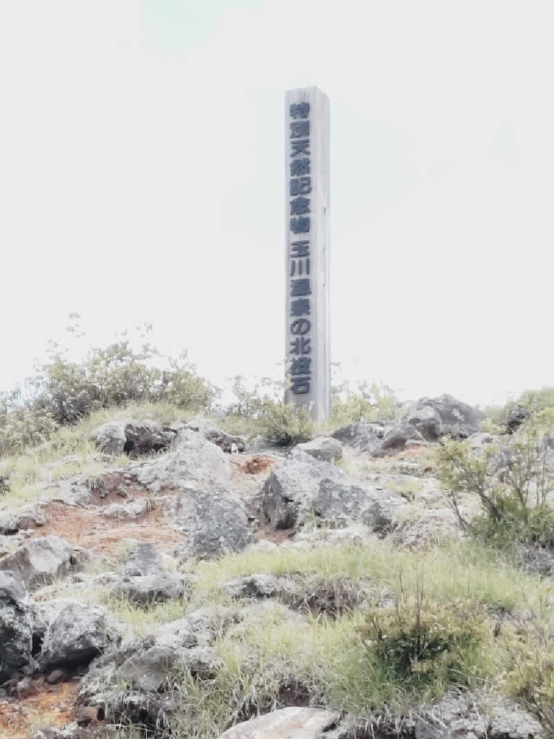 Mさんの玉川温泉のサ活写真