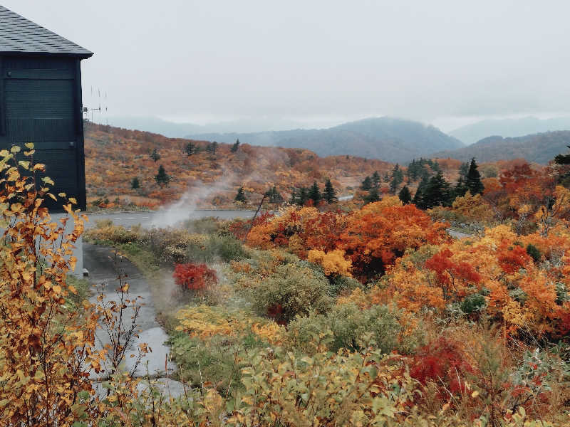 Mさんの結びの宿 愛隣館のサ活写真