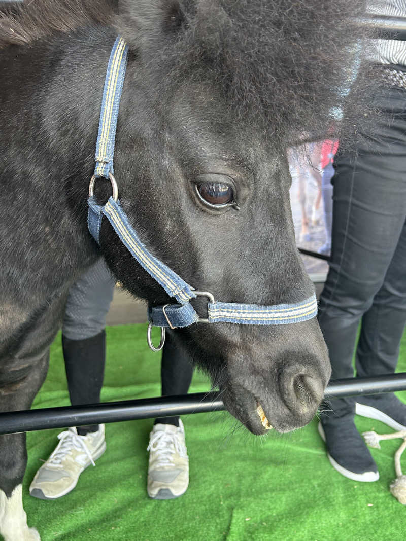 サウナ会　エグさんの神馬の湯のサ活写真