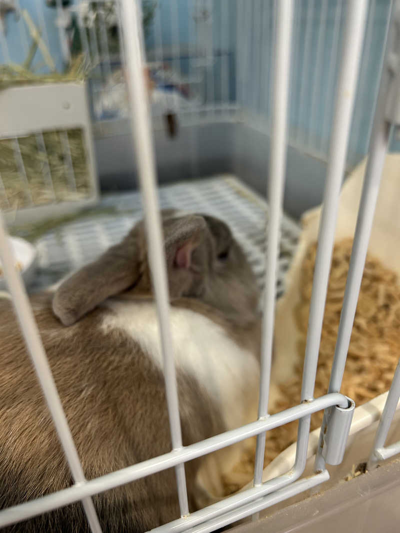 サウナ会　エグさんのアクアリゾート 岐阜ふじの湯のサ活写真