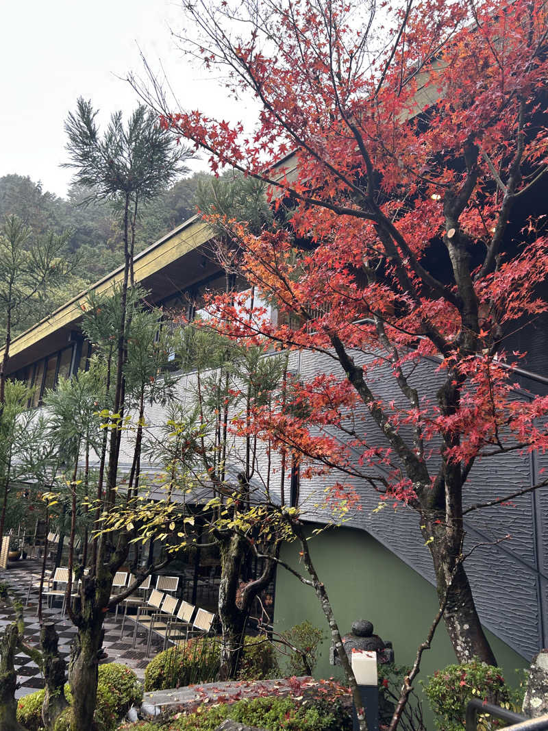 サウナ会　エグさんの猿投温泉 金泉の湯のサ活写真