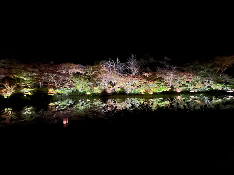 むされぱんださんの御船山楽園ホテル  らかんの湯のサ活写真