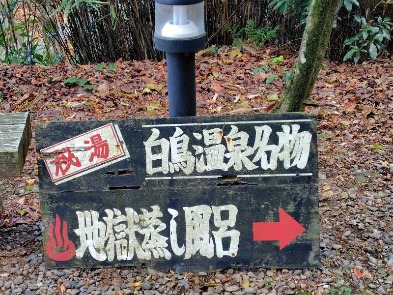 Storemasterさんの白鳥温泉上湯のサ活写真