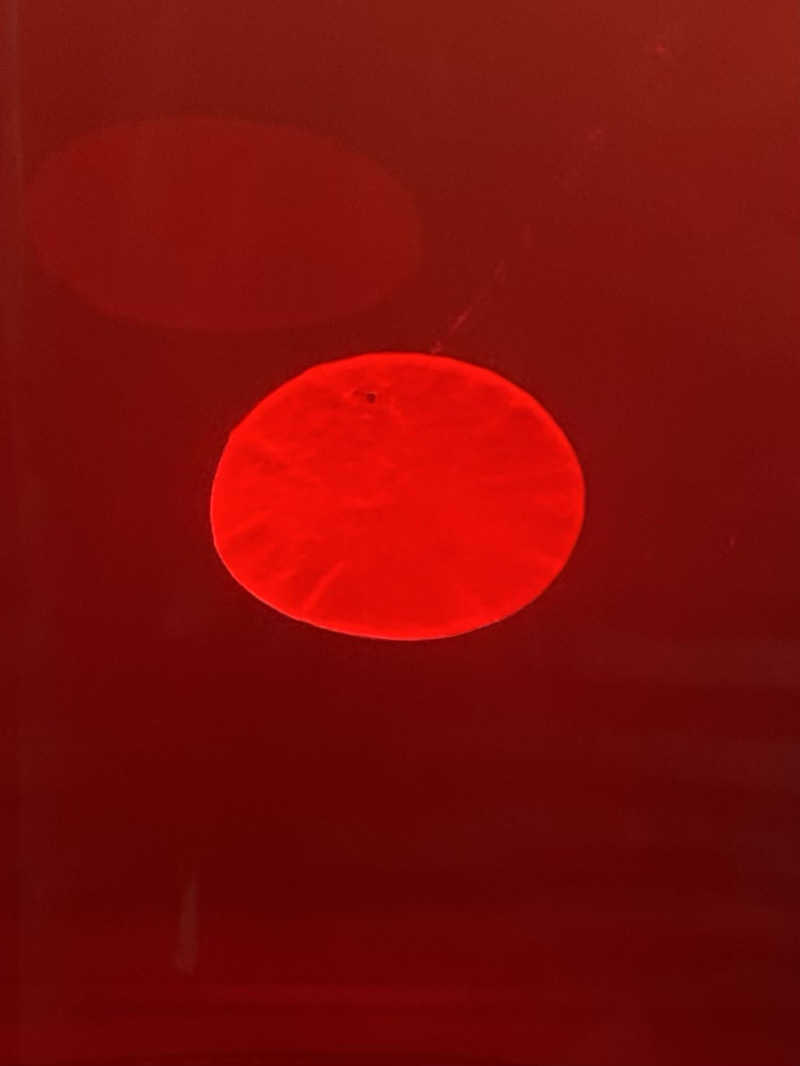 ミャクミャクさんのワイズキャビン大阪難波のサ活写真