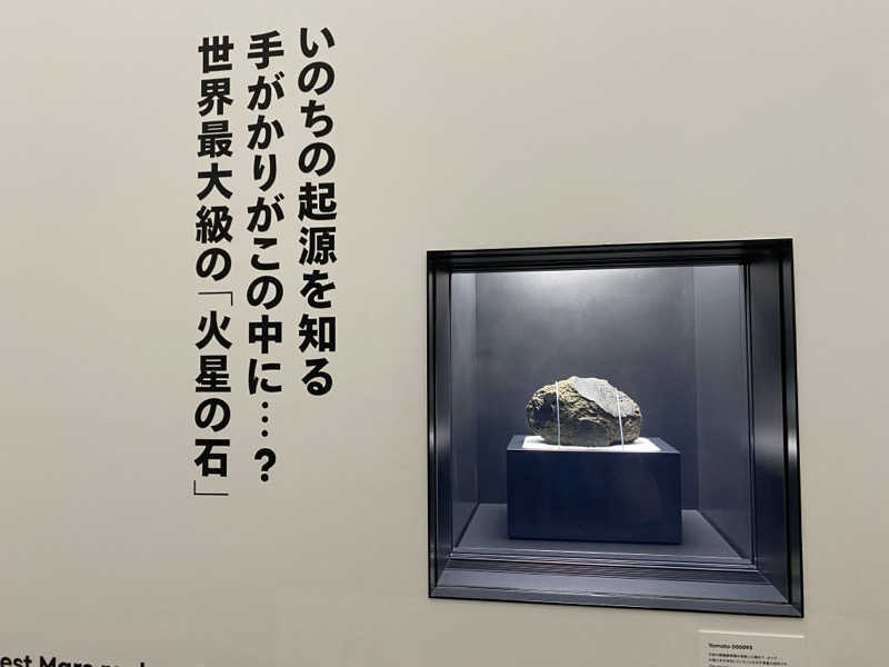 ミャクミャクさんのワイズキャビン大阪難波のサ活写真