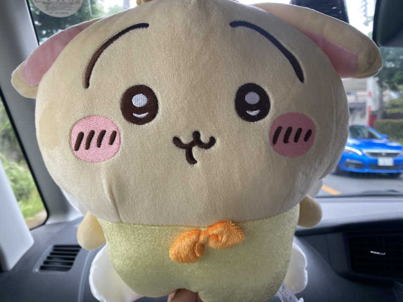 うさぎさんのスパメッツァ おおたか 竜泉寺の湯のサ活写真