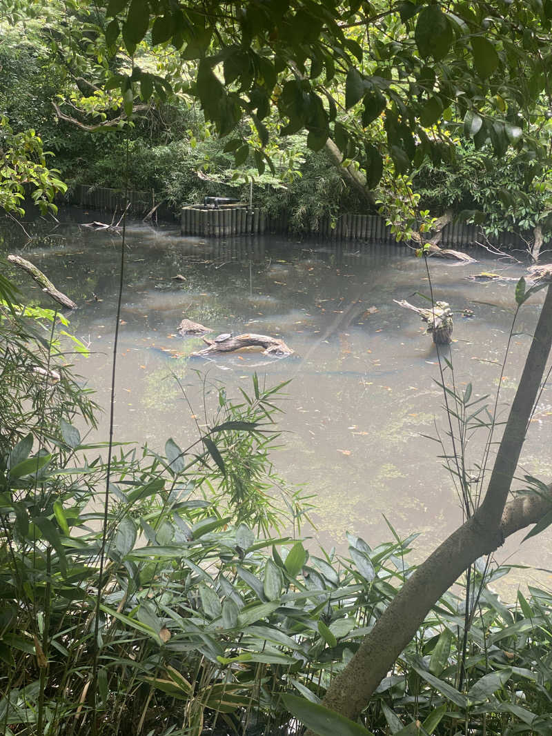 うさぎさんの改良湯のサ活写真