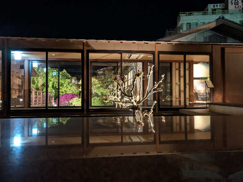 はごすけさんのびわこ緑水亭のサ活写真