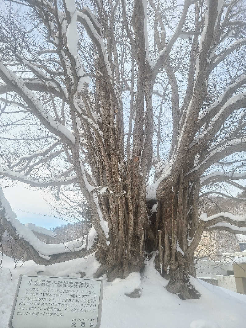 ちいざわさんの小金湯温泉 湯元 小金湯のサ活写真