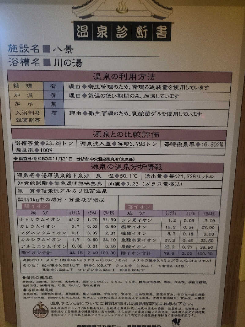 ちいざわさんの湯原温泉 八景のサ活写真