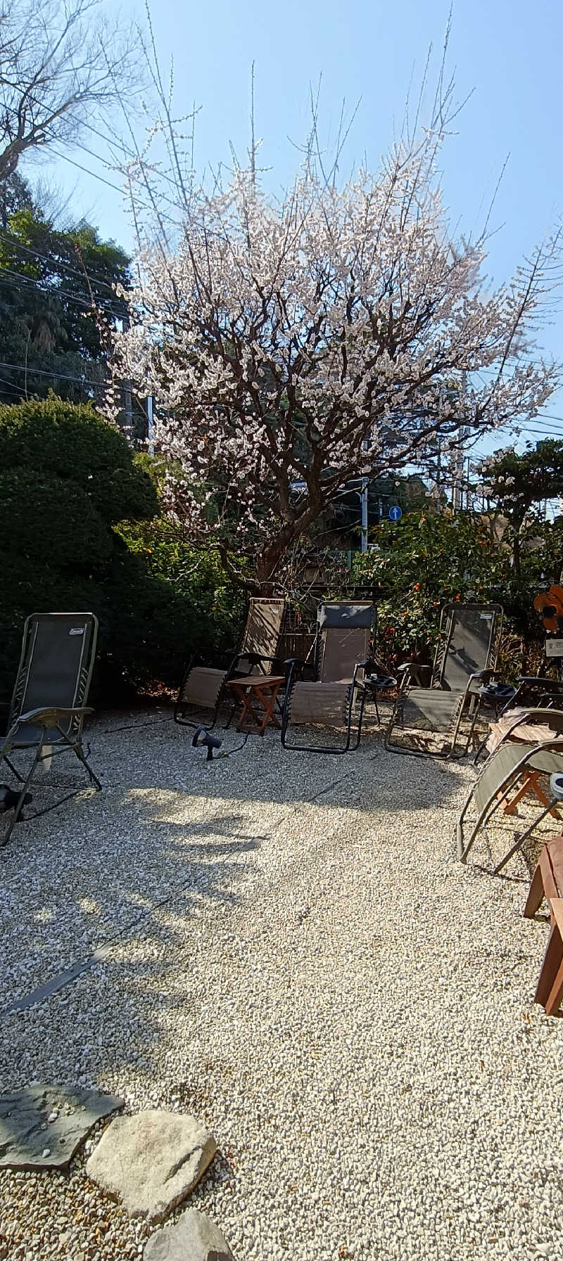 deeepさんのサウナゆげ蔵のサ活写真