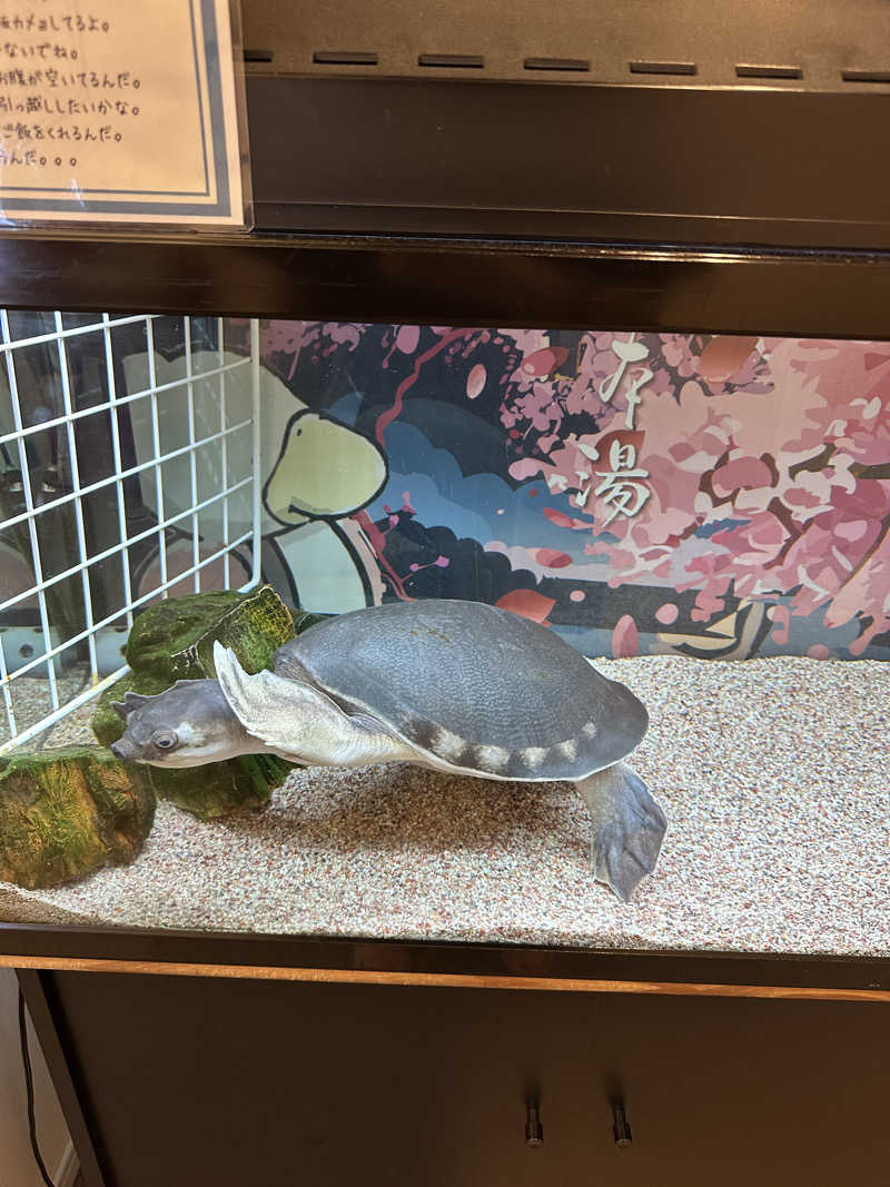 ささんの松本湯のサ活写真