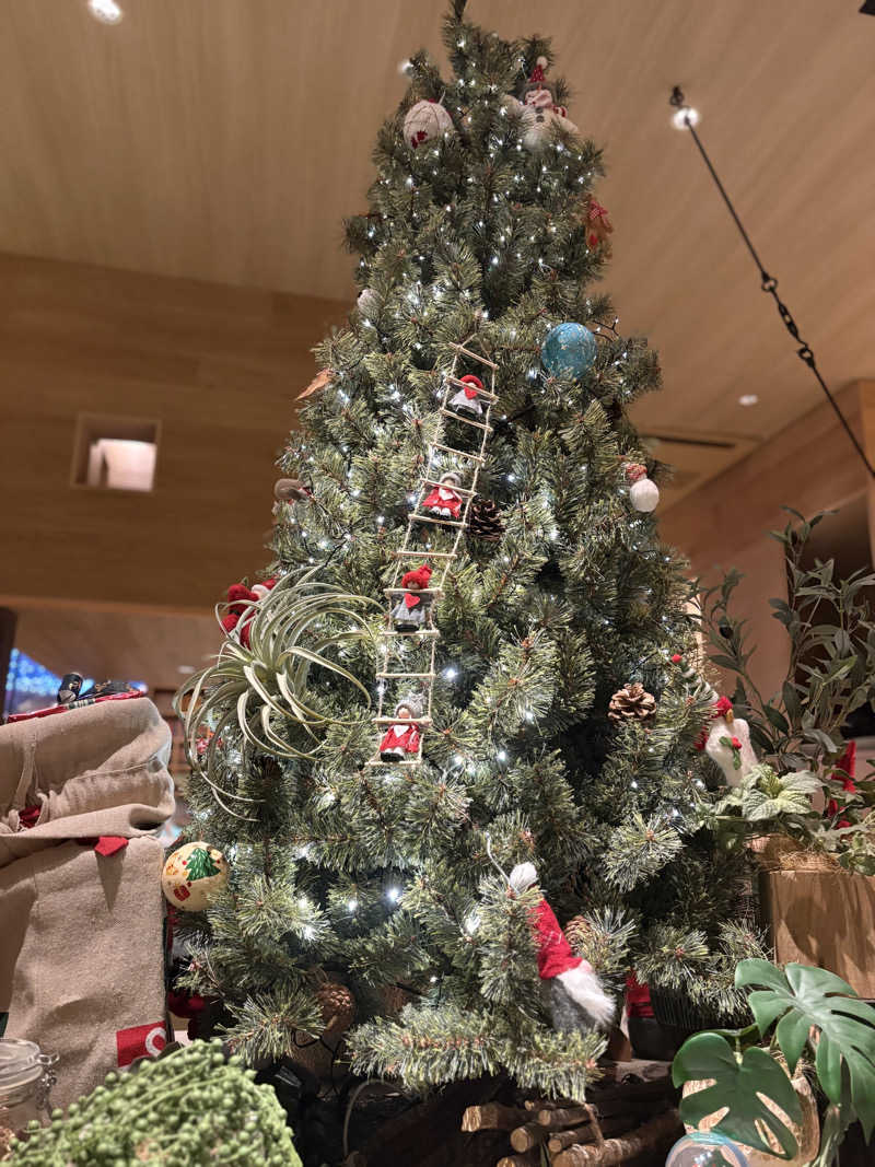 ミさんのおふろcafé かりんの湯のサ活写真