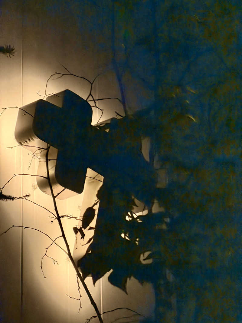 サウナの犬さんの渋谷SAUNASのサ活写真