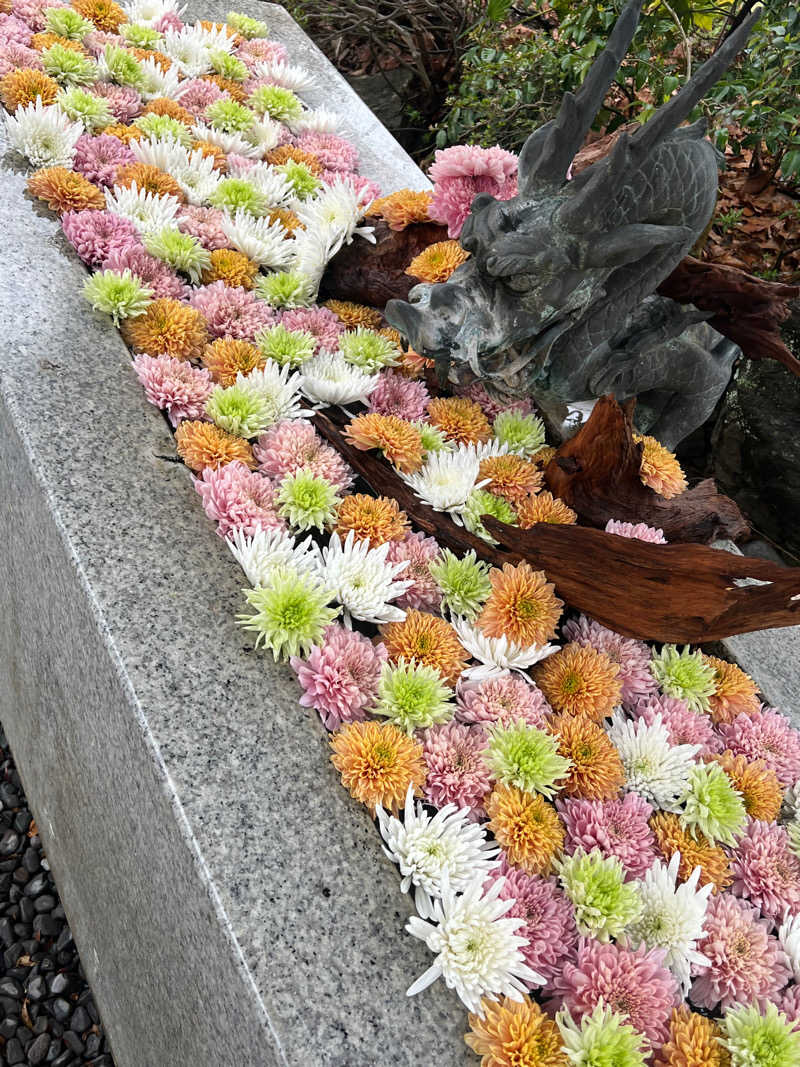 ともちさんのよみうりランド眺望温泉 花景の湯のサ活写真