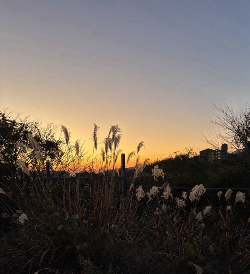 beさんの天然温泉 ゆの里のサ活写真