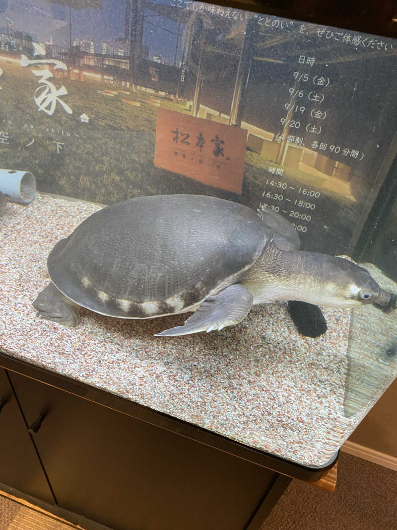 がんばるかにさんの松本湯のサ活写真