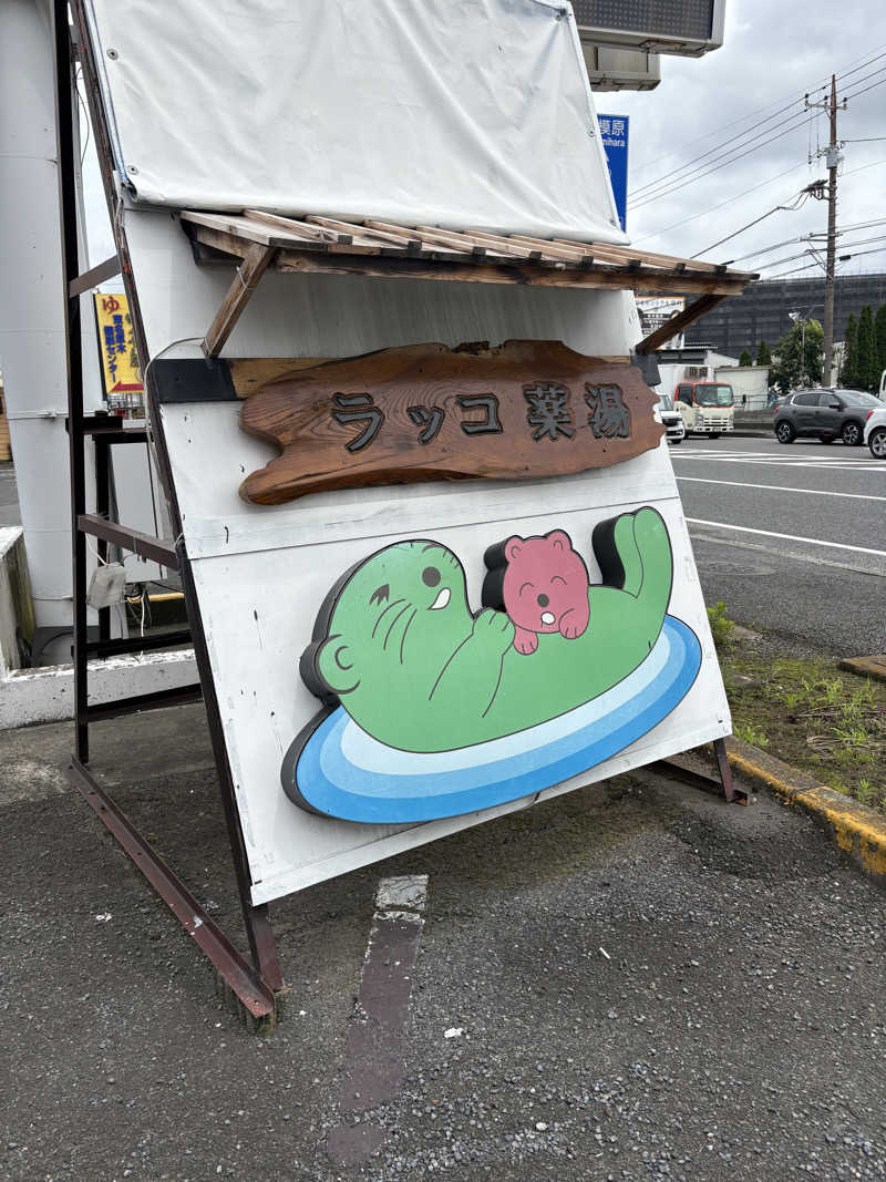 カブノリゾウさんの湯乃泉 東名厚木健康センターのサ活写真