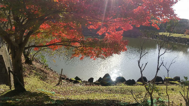 ヨーコさんのほてい湯のサ活写真