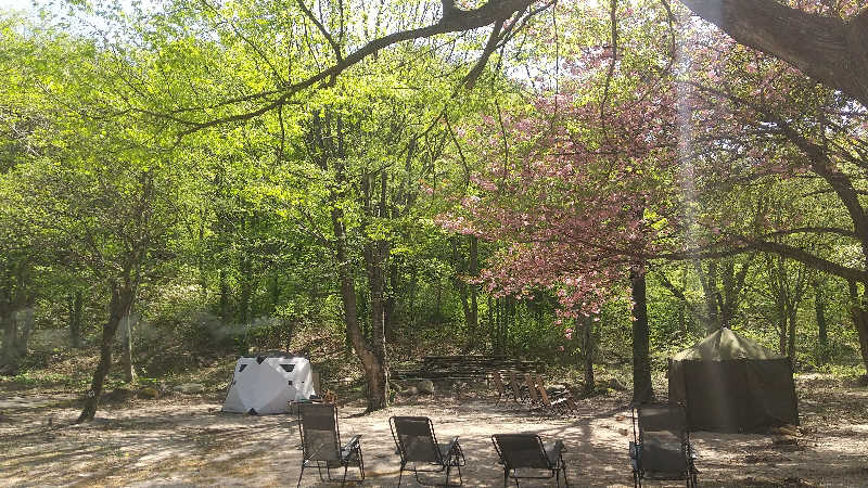 ヨーコさんのNature Sauna(大山隠岐国立公園内・一向平キャンプ場)のサ活写真