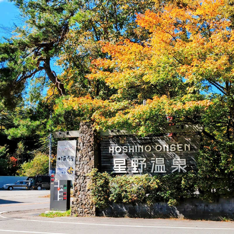 7chinさんの星野温泉 トンボの湯のサ活写真