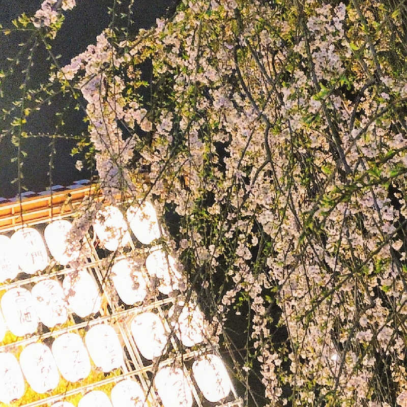 7chinさんの町田市立室内プール「町田桜の湯」のサ活写真