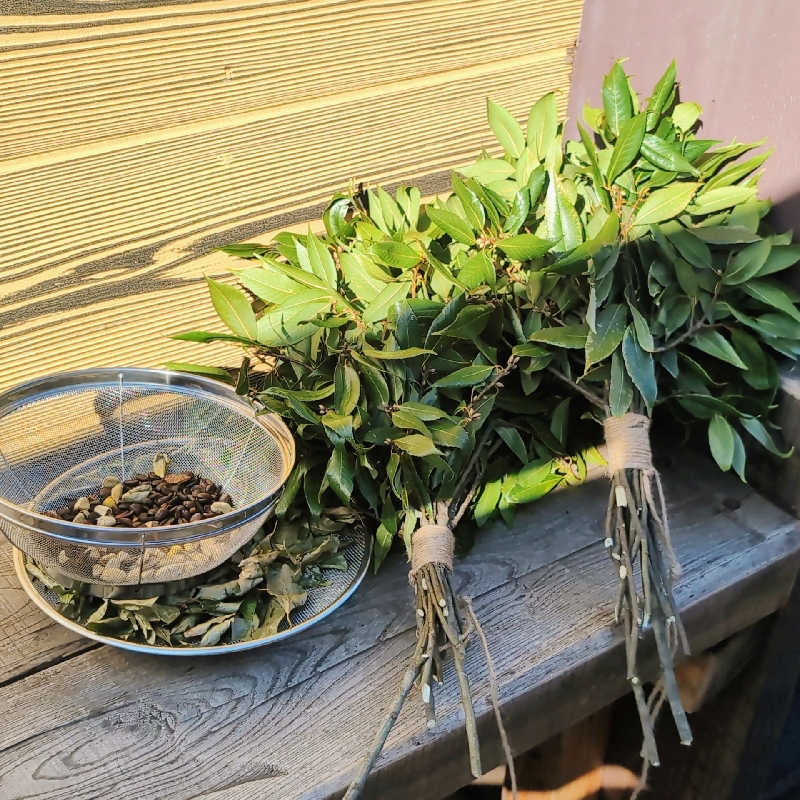 7chinさんの山賊サウナのサ活写真