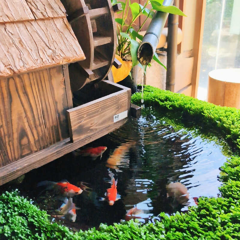 7chinさんの町田市立室内プール「町田桜の湯」のサ活写真