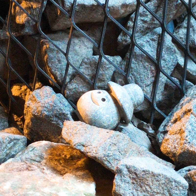 7chinさんの山賊サウナのサ活写真