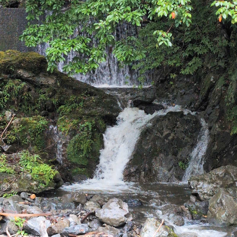 7chinさんのサウナ寸又峡 -TripTrain-のサ活写真