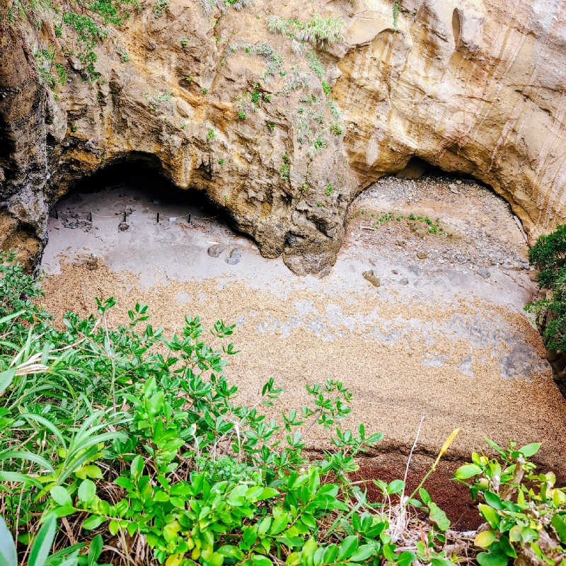 7chinさんのSauna HealingDragon ヒーリングドラゴンのサ活写真