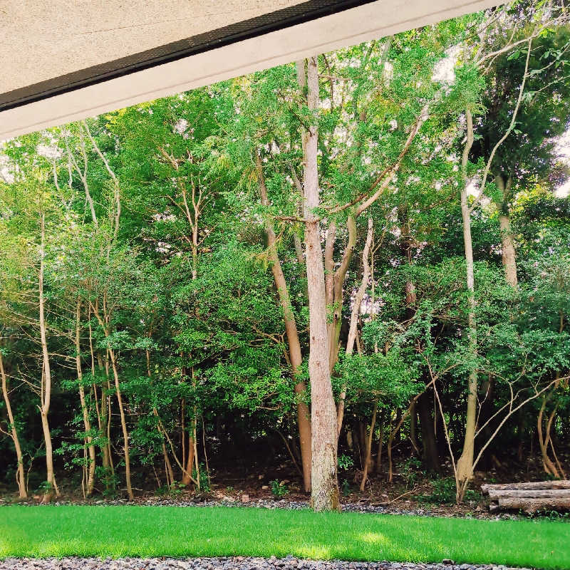 7chinさんの水の家のサ活写真