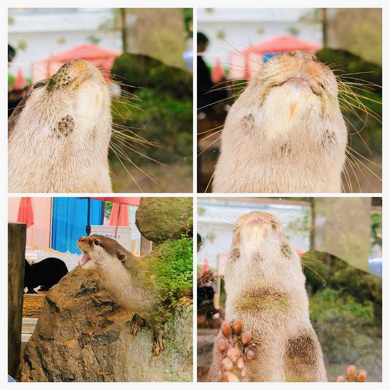 7chinさんのよみうりランド眺望温泉 花景の湯のサ活写真