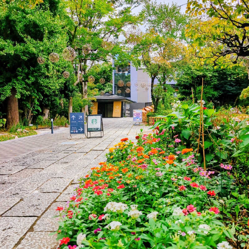 7chinさんのよみうりランド眺望温泉 花景の湯のサ活写真