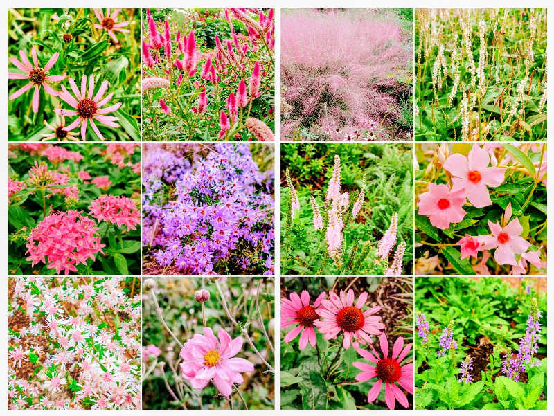 7chinさんのよみうりランド眺望温泉 花景の湯のサ活写真