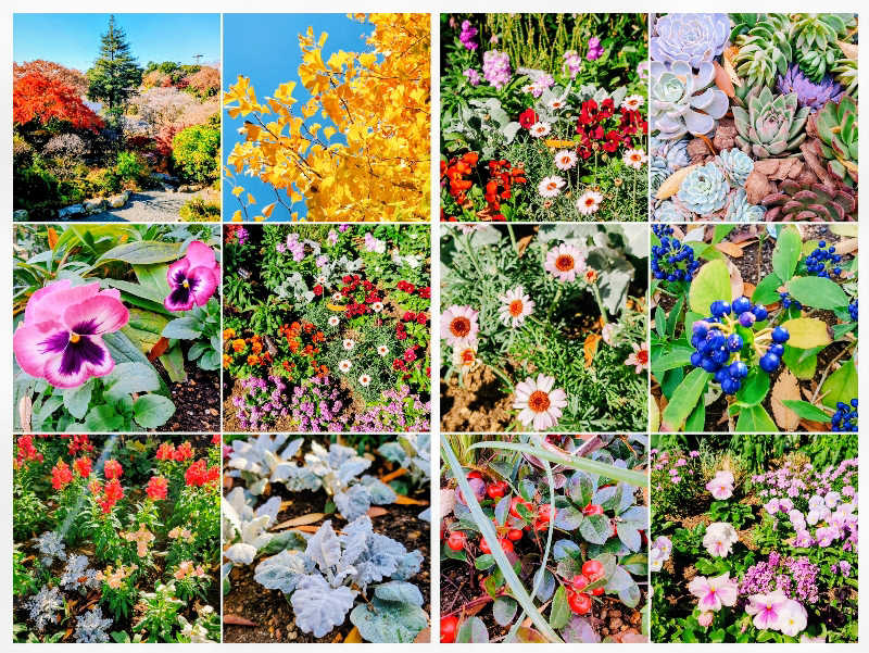 7chinさんのよみうりランド眺望温泉 花景の湯のサ活写真