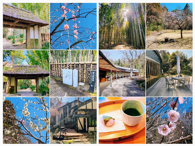 7chinさんのedit x seven 富士御殿場のサ活写真