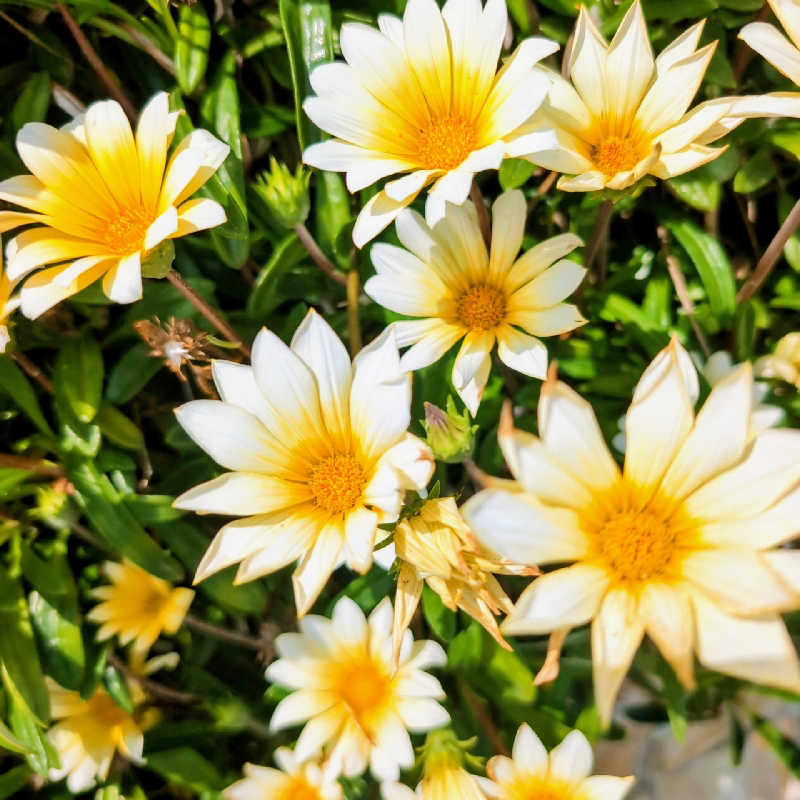 7chinさんの稲村ヶ崎温泉のサ活写真