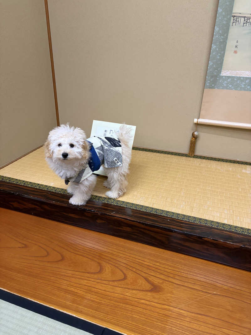 和さんの朝野家のサ活写真