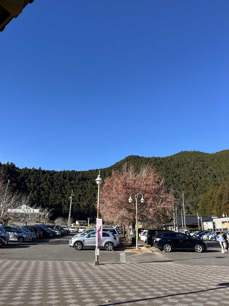 よっときまさんのとうえい温泉 花まつりの湯のサ活写真