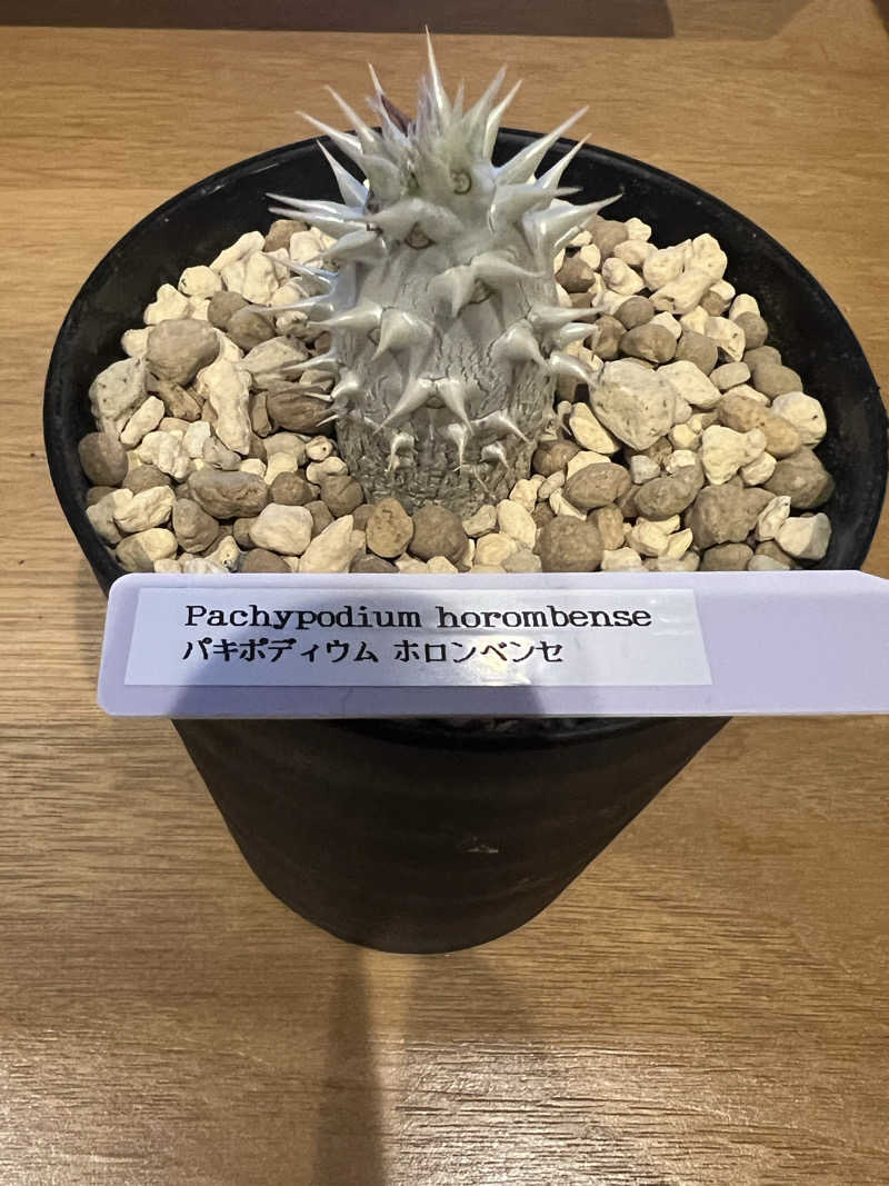 taaa♩さんのSHIORI (古湯温泉 ONCRI)のサ活写真