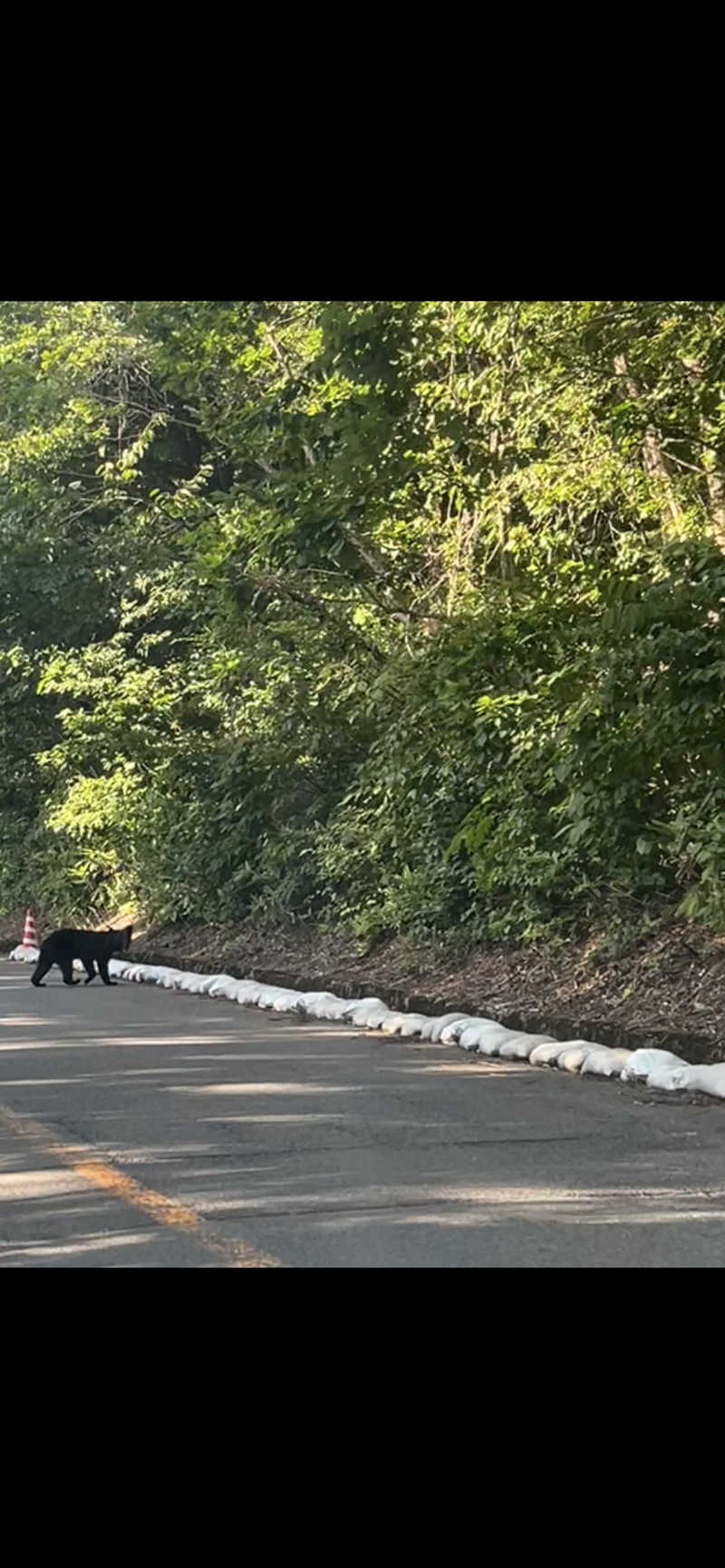 かたつむりさんの高源ゆのサ活写真