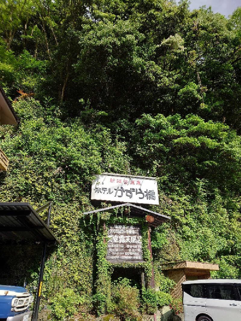 おがちゃんさんの新祖谷温泉 ホテルかずら橋のサ活写真