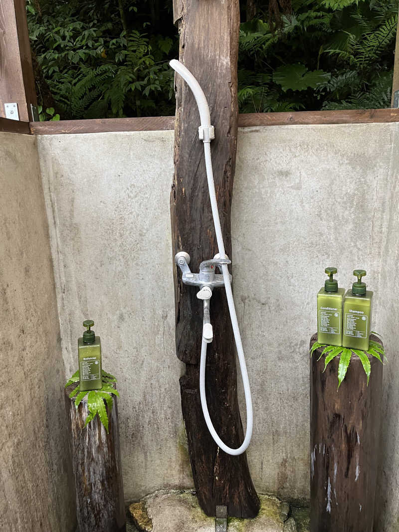 どらさんの亜熱帯サウナのサ活写真