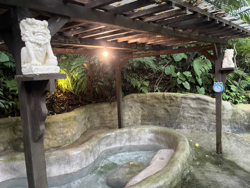 どらさんの亜熱帯サウナのサ活写真